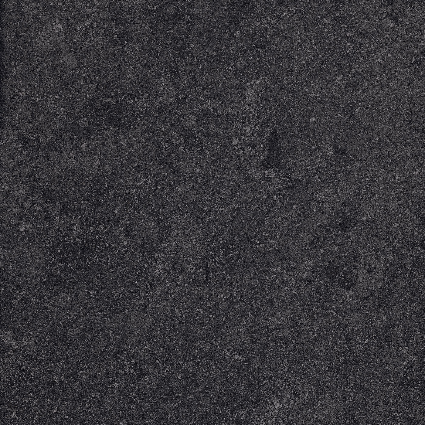 FOSSIL BLACK tile face 2